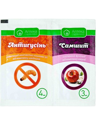 Антигусінь + Самшит