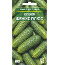 Насіння огірка Фенікс Плюс 20 шт