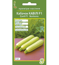Насіння кабачка Кавілі F1 5 шт